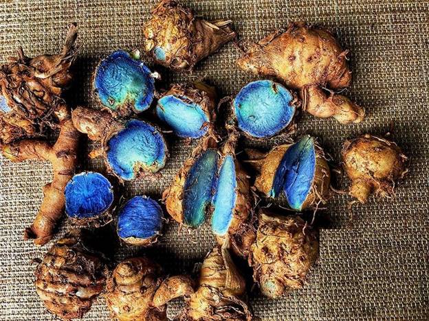 Black-Turmeric.jpg
