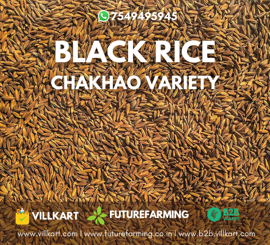 Black-rice.png