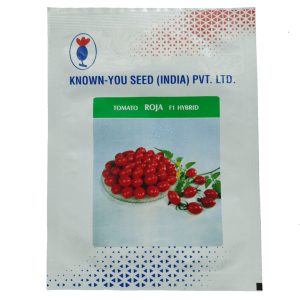 ROJA-Cherry-Tomato.png