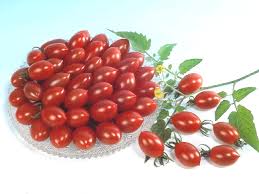 ROJA-TOMATO-CHEERY-TOMATO-1.jpg