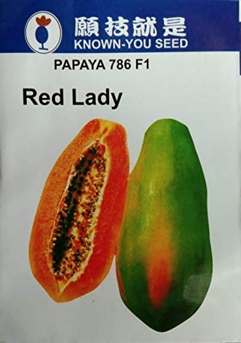 Red-Lady-Papaya-786-Seeds-1.jpg