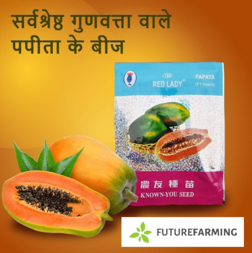 Red-Lady-Papaya-786-Seeds-e1611852427555.png