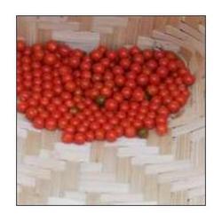 ashwagandha-seed-250x250-1.jpg